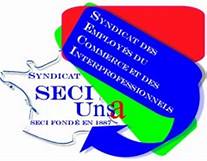 Logo SECI UNSA.jpg