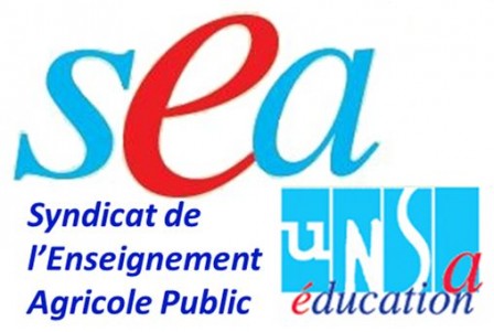 Logo_SEA.jpg